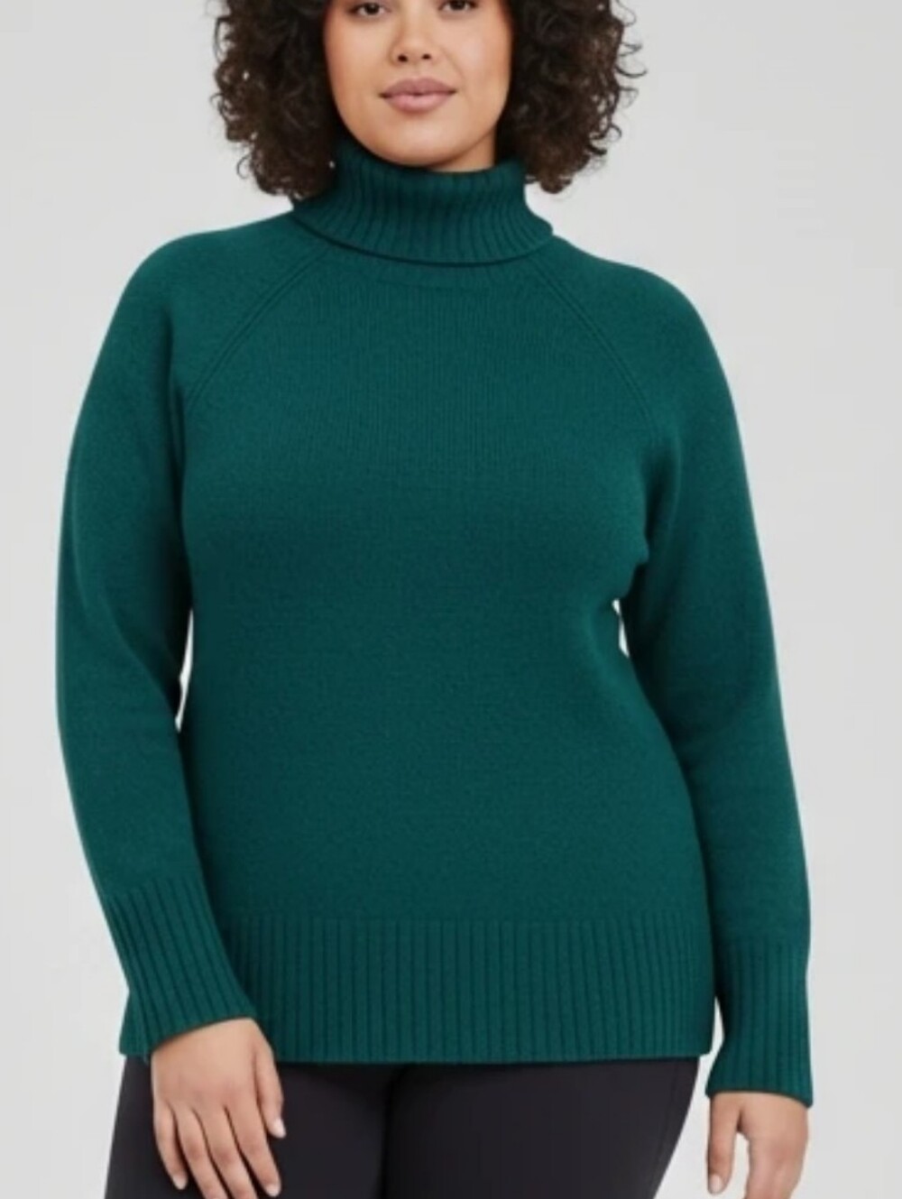 Cable & Gauge Womens Turtleneck Sweater Size L